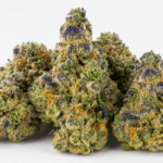 Buy Gumbo Weed Strain Online