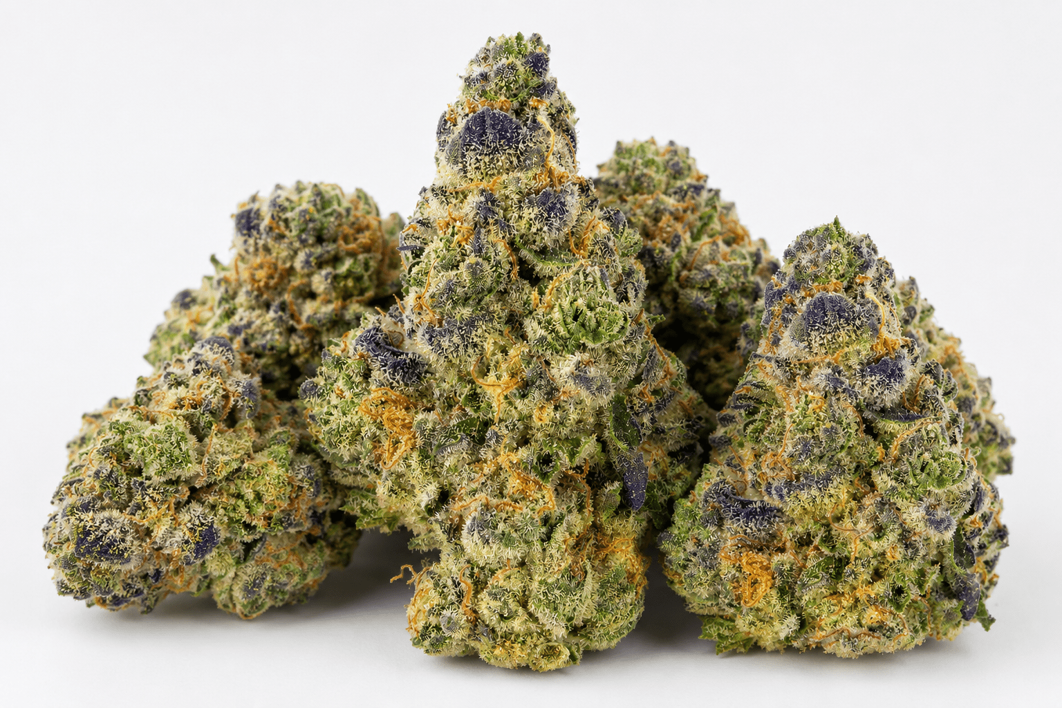 gumbo-strain.png Buy Gumbo Weed Strain Online