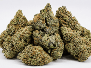 Buy Jet Fuel Weed Strain Online