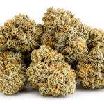 Lemon Pound Cake strain