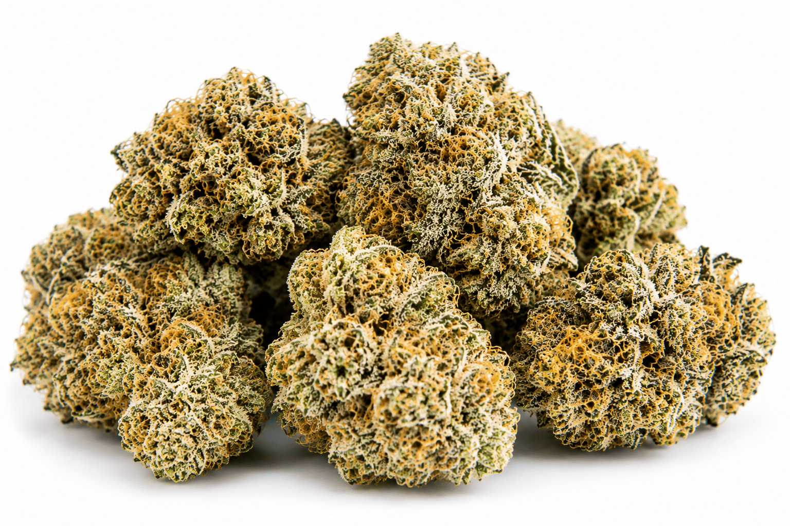 lemon-pound-cake-strain.png Lemon Pound Cake strain - Image 1