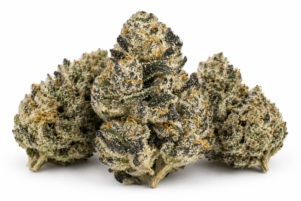 Buy Obama Runtz Strain Online