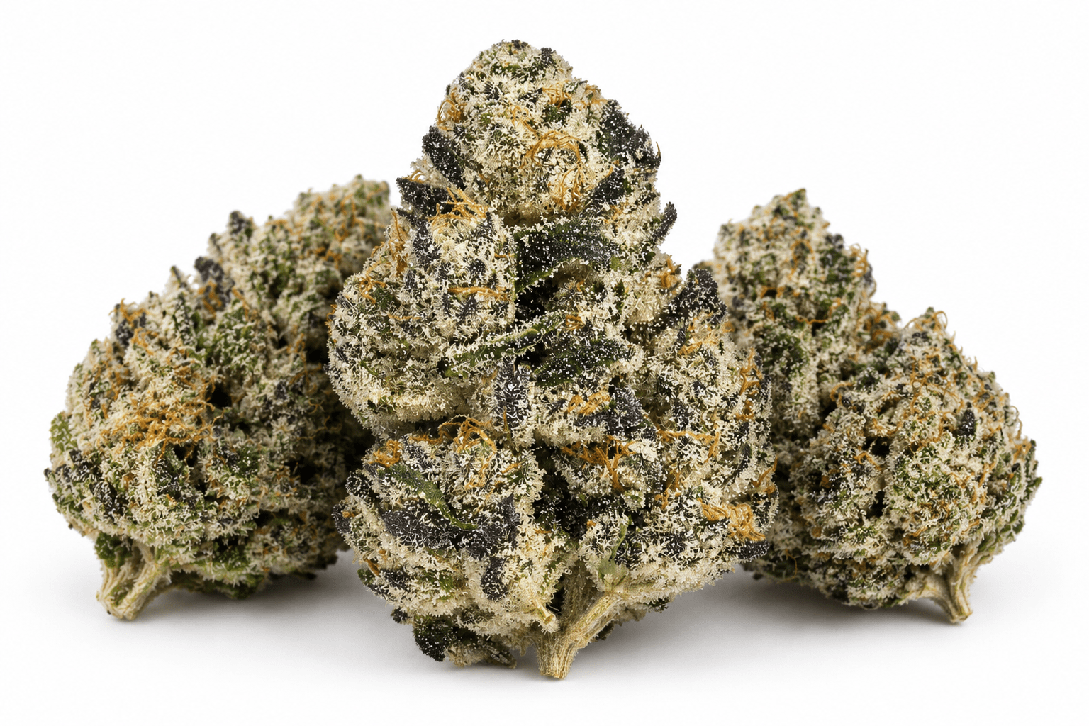 obama-runtz.png Buy Obama Runtz Strain Online