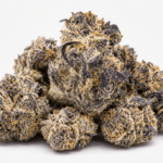Buy Oreoz Weed Strain Online