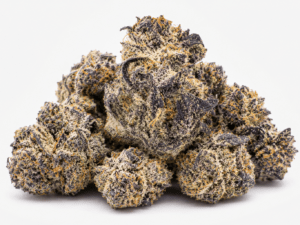 Buy Oreoz Weed Strain Online