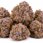 Purple Nerds Strain