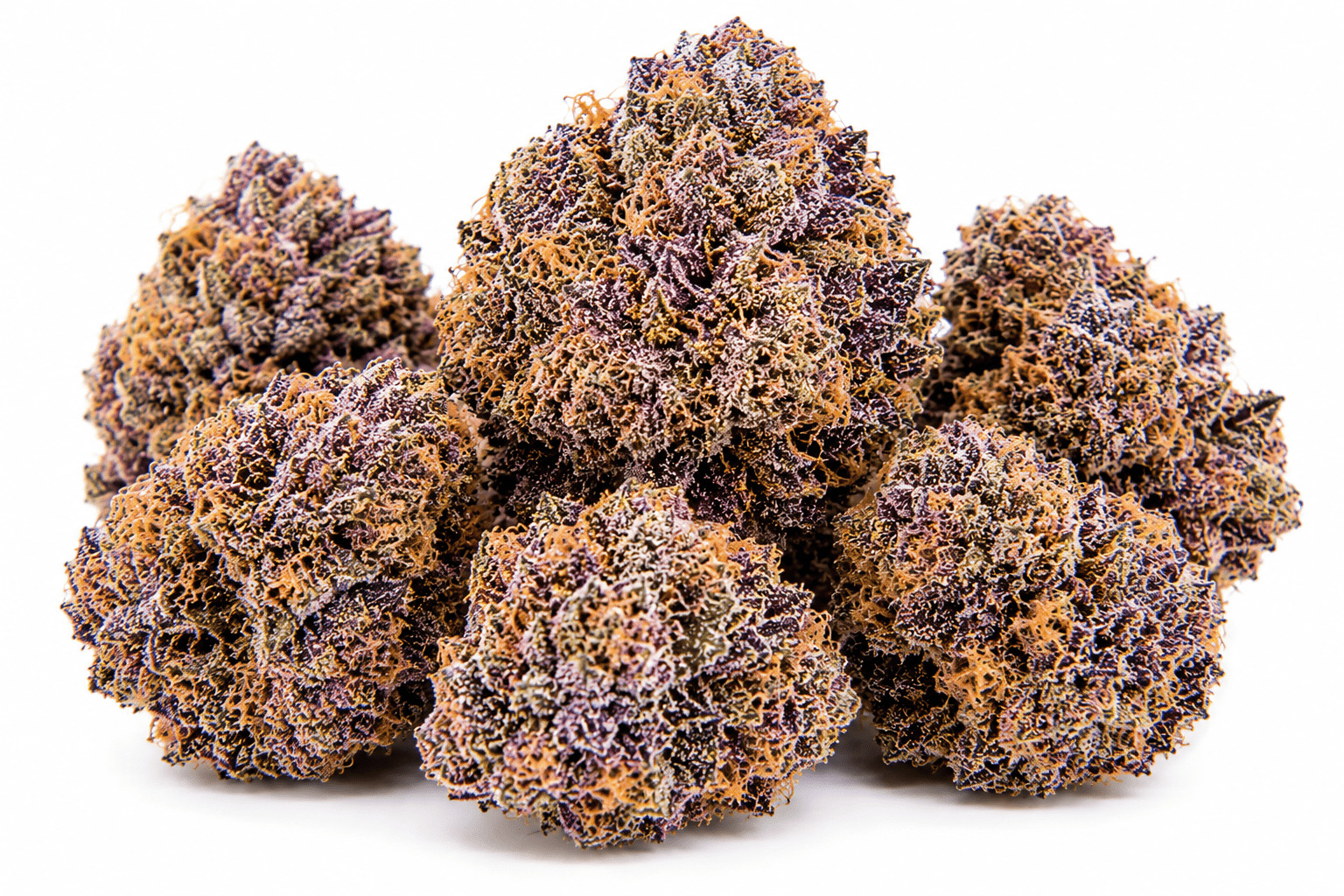 purple-nerds-strain.png Purple Nerds Strain - Image 1