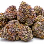 Buy Rainbow Runtz Weed Strain Online