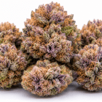 Red Pop Strain
