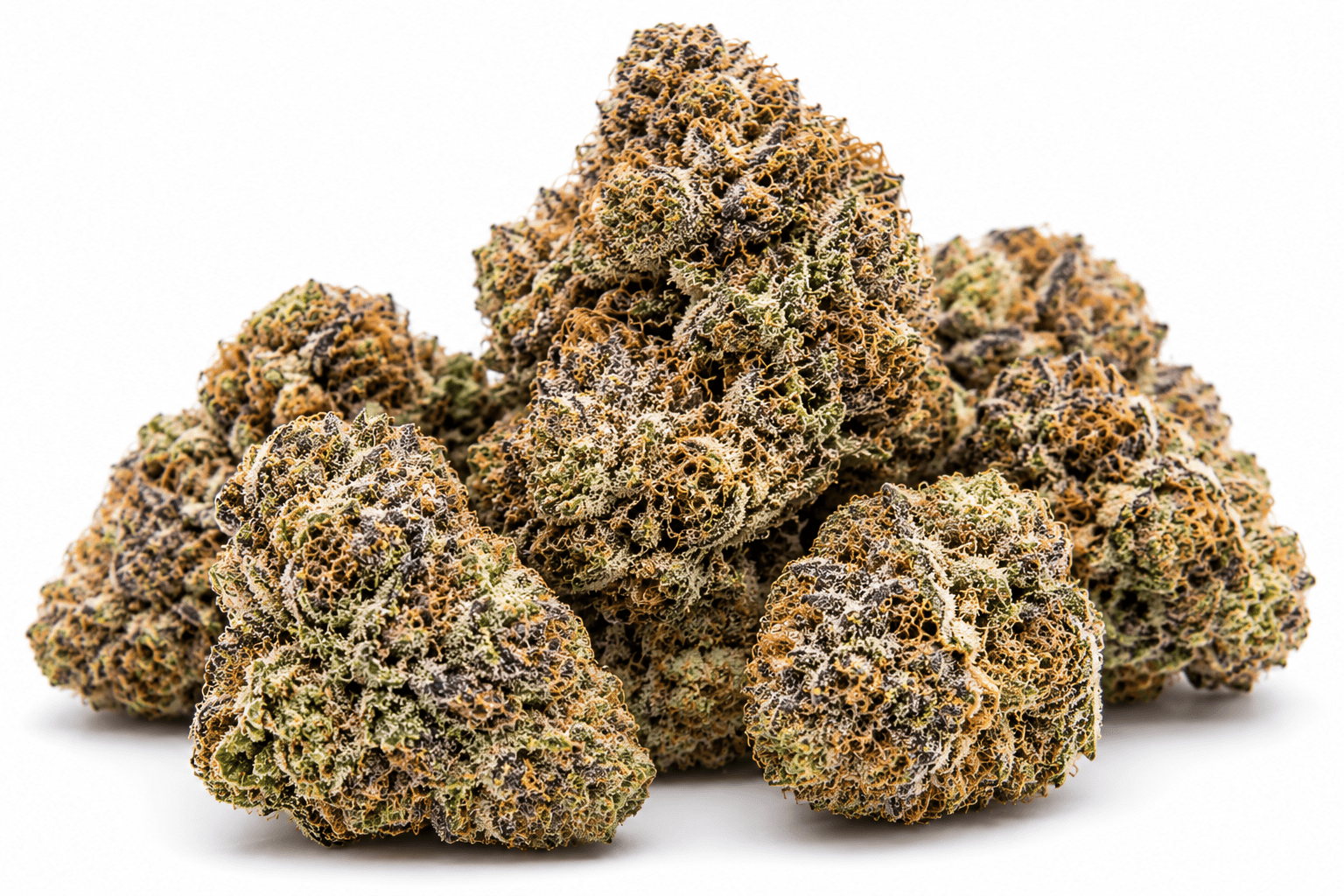 rs11-strain.png RS11 Strain - Image 1