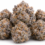 RS54 Strain