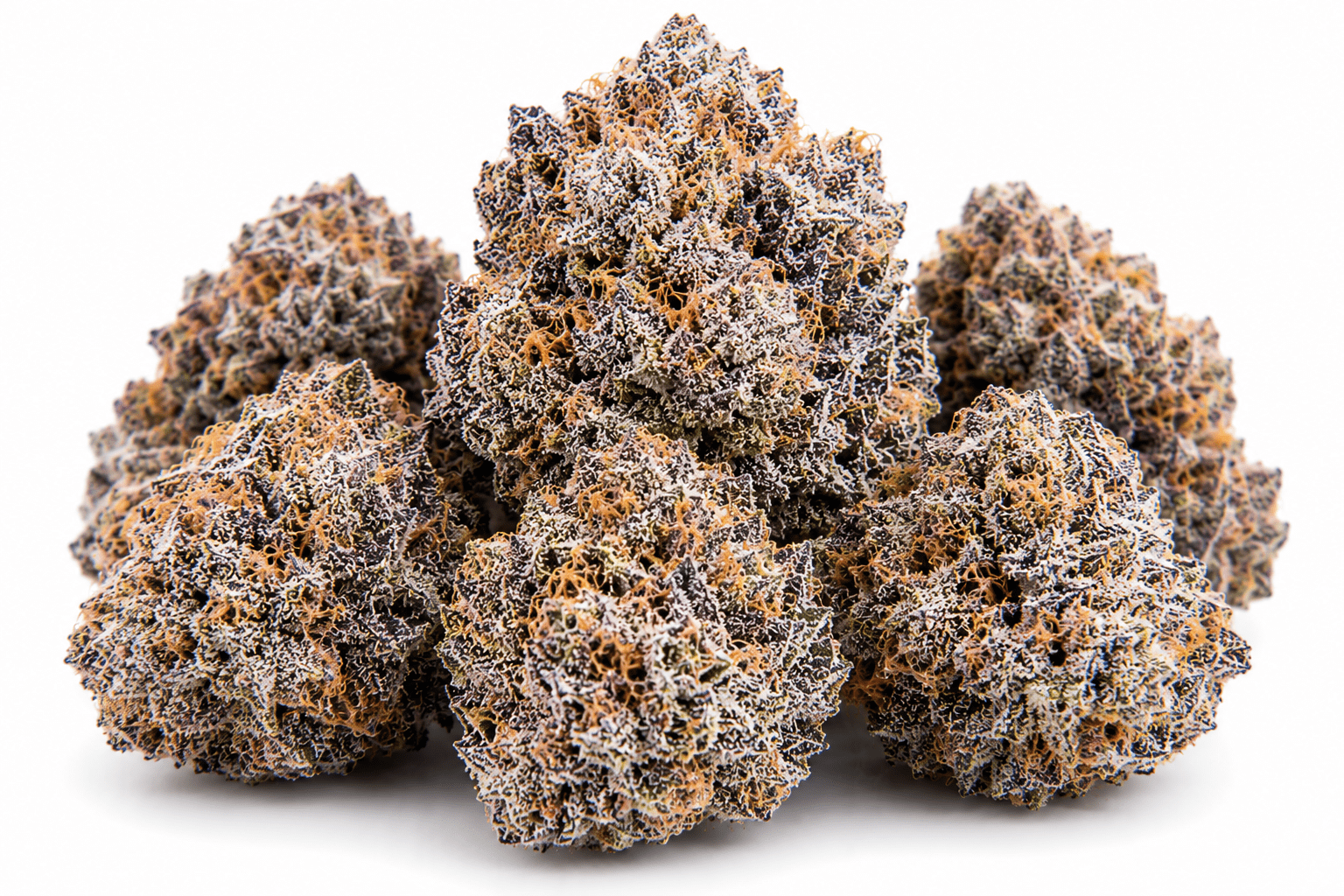 rs54-strain.png RS54 Strain - Image 1