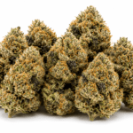 Super Lemon Haze Strain