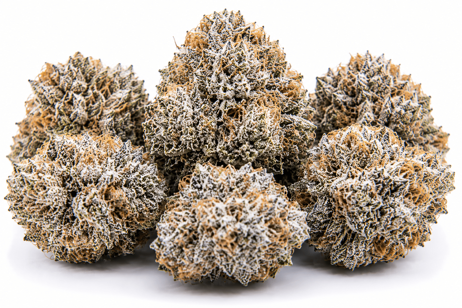 white-cherry-strain.png White Cherry Strain - Image 1