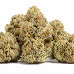Buy White Nerds Weed Strain Online