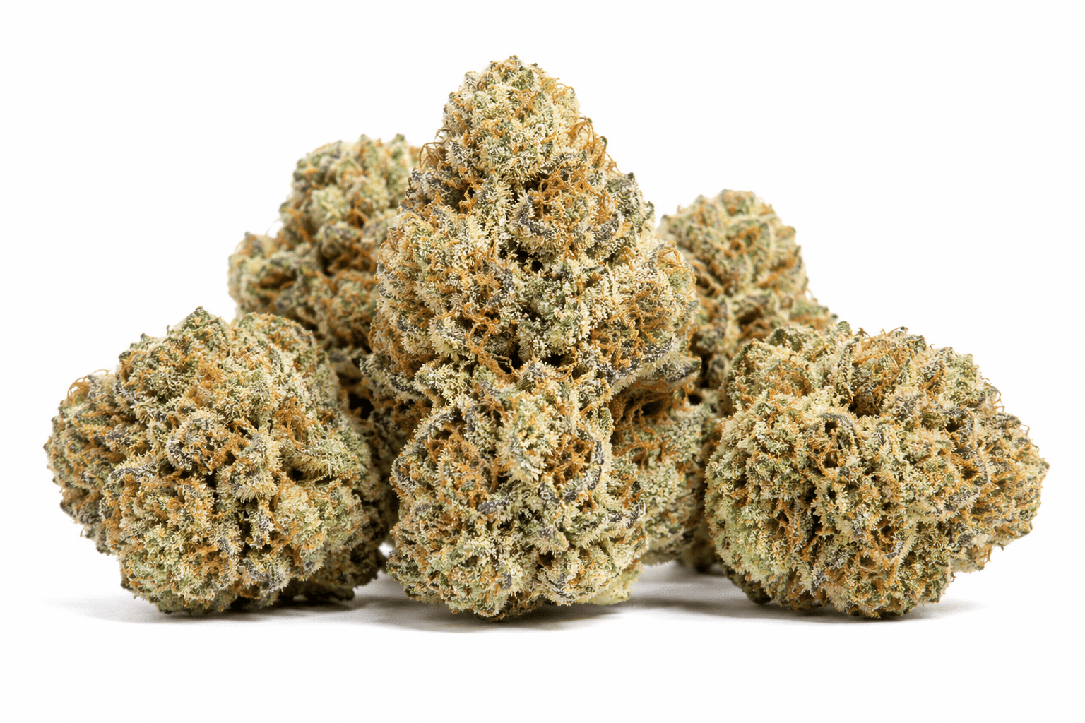 white-nerds-strain.png White Nerds Strain - Image 1