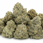 Buy White Truffle Weed Strain Online