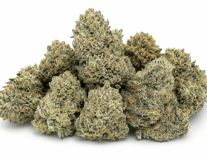 Buy White Truffle Weed Strain Online