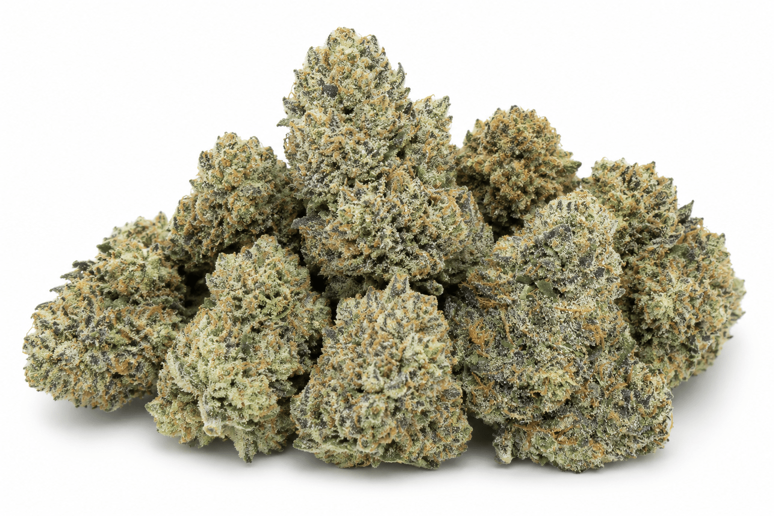 white-truffle-strain.png Buy White Truffle Weed Strain Online