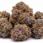Zookies Strain