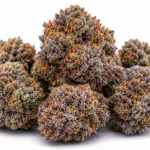 Buy Zookies Weed Strain Online 2026