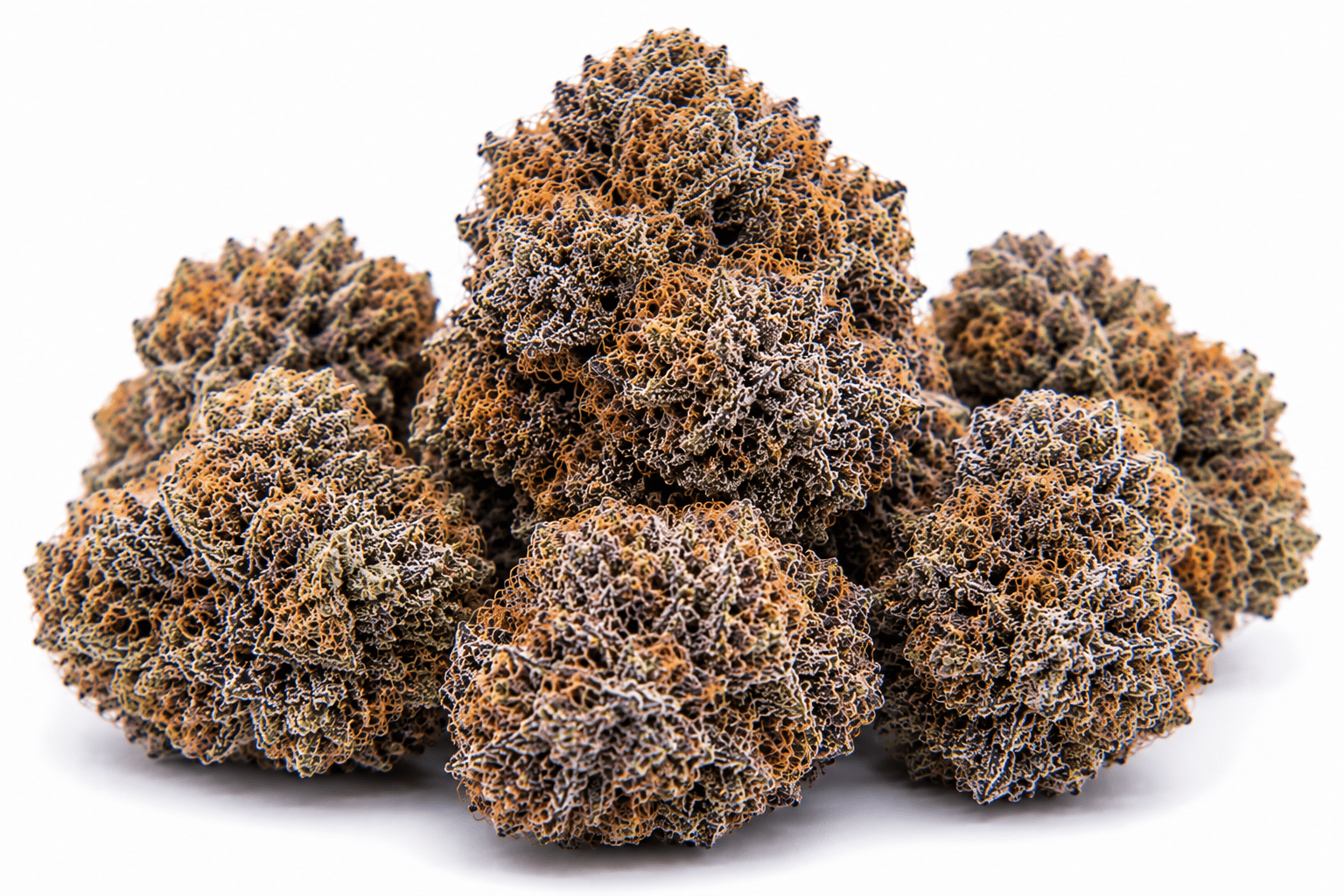 zookies-strain.png Zookies Strain - Image 1