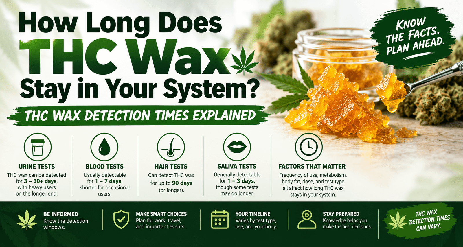 How Long Does THC Wax Stay in Your System? THC Wax Detection Times Explained