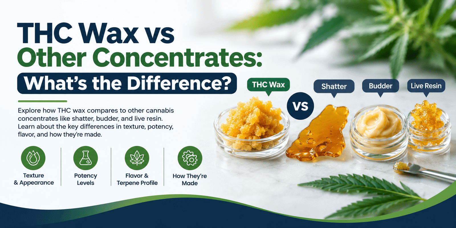 THC Wax vs Other Concentrates